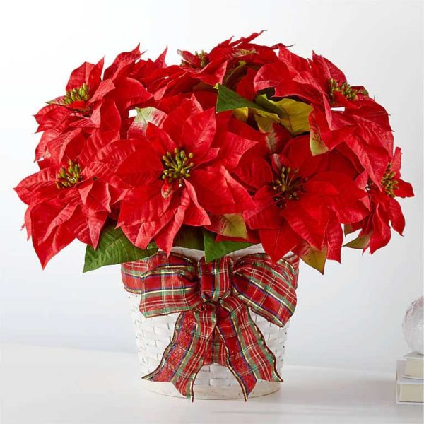 Happiest Holidays Poinsettia